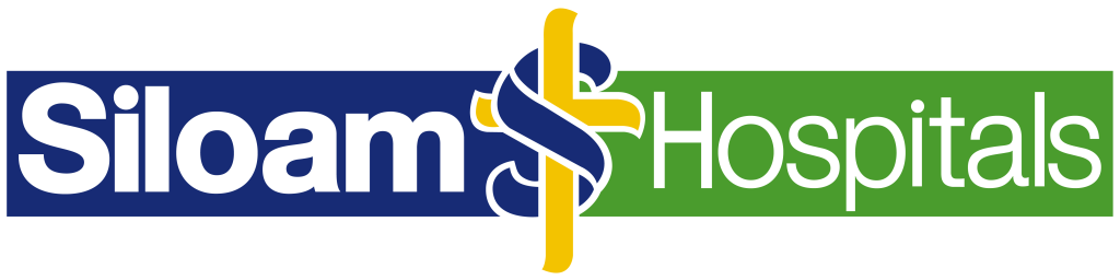 logo-sh_color-2.png