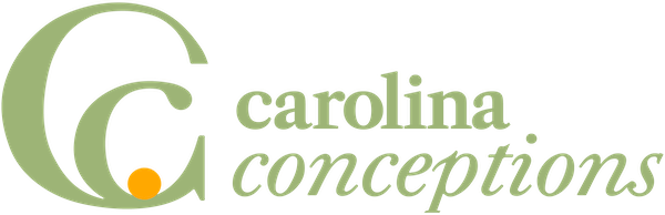 logo-Carolina-Conceptions-horizontal-web.png